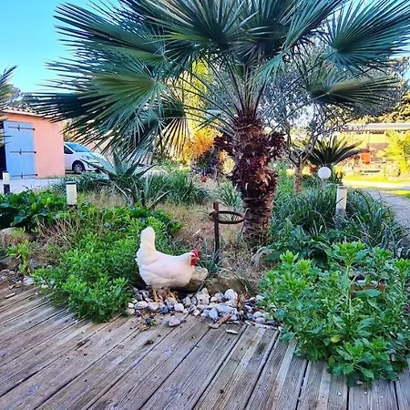 A 20 M² Jardin Et Parking Prive * Hyères
