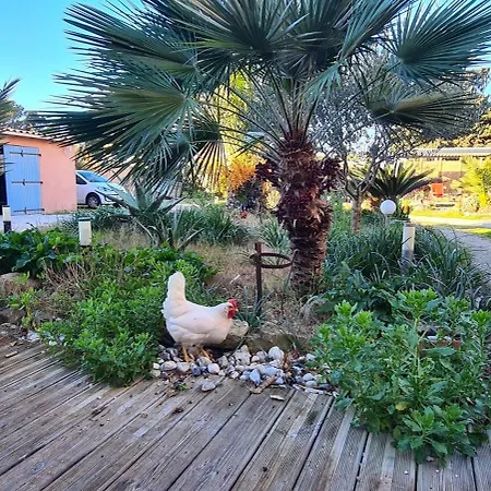 à Hyères, 20 M², Jardin Et Parking Privé Appartamento Hyères