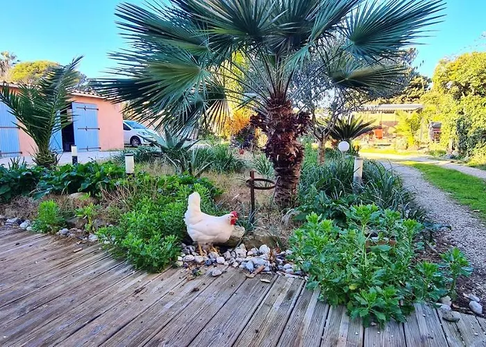 A Hyeres, 20 M², Jardin Et Parking Prive * Hyères